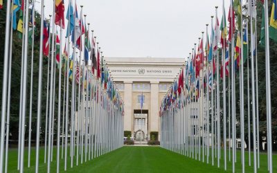 UN Committee on Enforced Disappearances Highlights Pivotal Role of Reparations for all Victims of Disappearances in Iraq