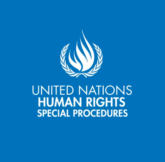 المقررون الخاصون للأمم المتحدة يثيرون مخاوف بشأن الشكاوى الجنائية المتعلقة بقانون ألناجيات ألأيزيديات مع حكومة العراق